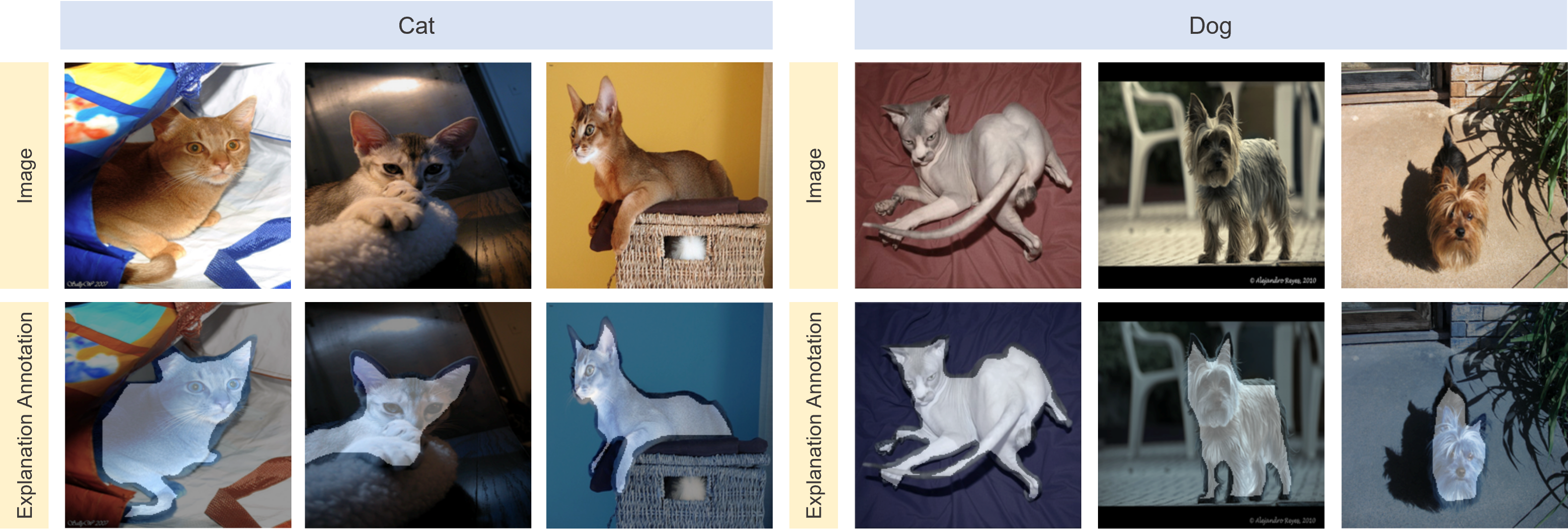 Cats&Dogs_Classification